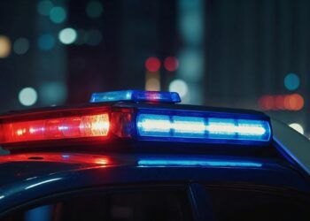 Preso admite ter assassinado idoso acusado de abuso infantil - Imagem: Pixabay
