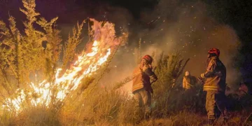 Especialistas alertam para retrocesso ambiental com novo projeto de lei - Foto:  Corpo de Bombeiros RJ/Divulgação