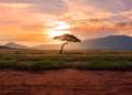 África - Reprodução/Unsplash