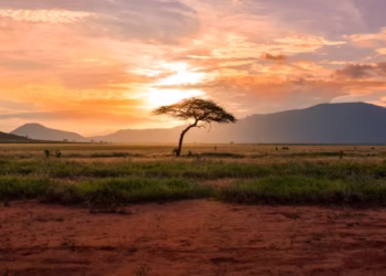 África - Reprodução/Unsplash