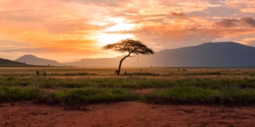 África - Reprodução/Unsplash