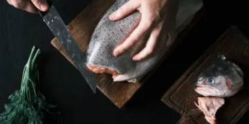Ciguatera - Reprodução/iStock
