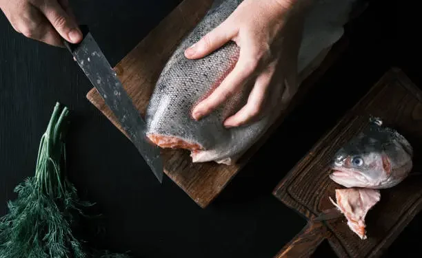 Ciguatera - Reprodução/iStock