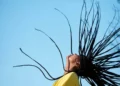 Dreads - Reprodução/iStock