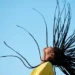 Dreads - Reprodução/iStock