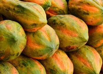 Fruta que parece inofensiva mas pode prejudicar sua saúde - Imagem: Pixabay