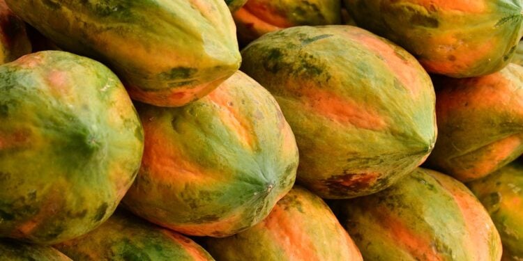 Fruta que parece inofensiva mas pode prejudicar sua saúde - Imagem: Pixabay