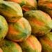 Fruta que parece inofensiva mas pode prejudicar sua saúde - Imagem: Pixabay