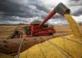 Produção de grãos pode aumentar muito, mas preços devem continuar - imagem: Agência Brasil