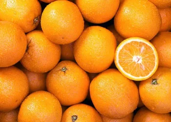 Laranja - Reprodução/iStock