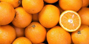 Laranja - Reprodução/iStock