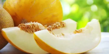 Melão - Reprodução/iStock