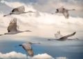 Migração de aves - Reprodução/iStock