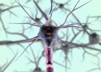 Seu neurônio será regenerado com alimento - Imagem: Pixabay