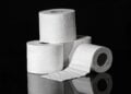 Papel higiênico deve ser colocado desta maneira - Imagem: Pixabay