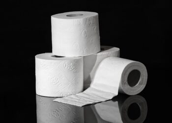 Papel higiênico deve ser colocado desta maneira - Imagem: Pixabay