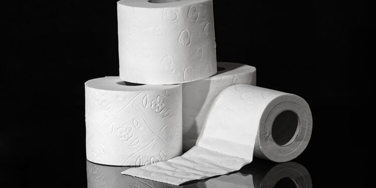 Papel higiênico deve ser colocado desta maneira - Imagem: Pixabay