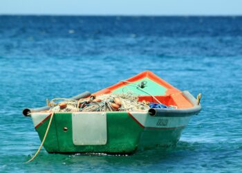 Pescador encontra peixe raríssimo de R$ 100 mil - Imagem: Pixabay