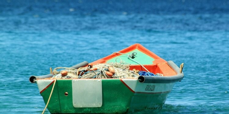 Pescador encontra peixe raríssimo de R$ 100 mil - Imagem: Pixabay