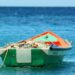 Pescador encontra peixe raríssimo de R$ 100 mil - Imagem: Pixabay