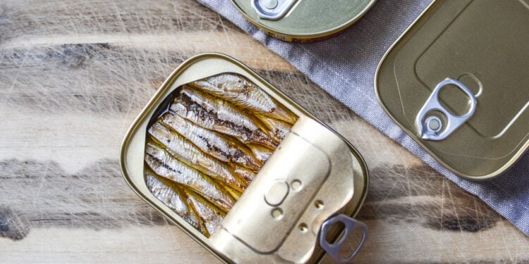 Esse tipo de peixe é muito melhor que o salmão ou atum - Imagem: Pixabay