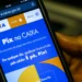 Descubra como vai funcionar o Pix automático para brasileiros - Imagem: Marcello Casal Jr/Agência Brasil