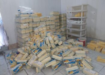 14 toneladas de queijo clandestino é apreendido em Pernambuco - Foto: Sefaz/Divulgação