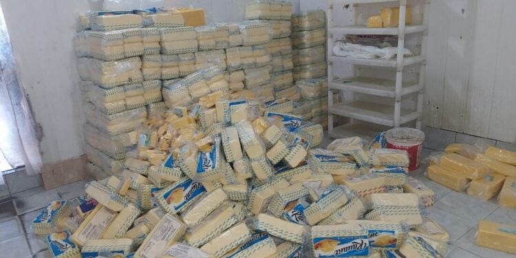 14 toneladas de queijo clandestino é apreendido em Pernambuco - Foto: Sefaz/Divulgação