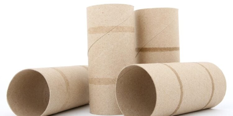 Rolos de papel podem ser ótimos organizadores - Pixabay