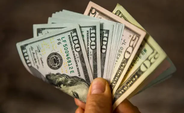 Salário em dólar - Reprodução/iStock