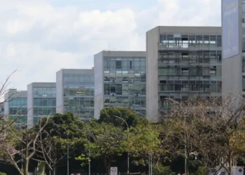 Servidores públicos federais vão ter o salário reajustados - Imagem: Fabio Rodrigues Pozzebom/Agência Brasil