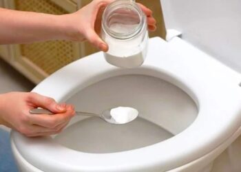 Seu vaso encardido vai ficar brilhando em poucos passos - Foto: Fatos Desconhecidos