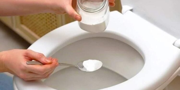 Seu vaso encardido vai ficar brilhando em poucos passos - Foto: Fatos Desconhecidos