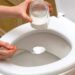 Seu vaso encardido vai ficar brilhando em poucos passos - Foto: Fatos Desconhecidos