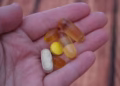 Vitamina - Reprodução/Unsplash