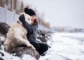 Aprenda a proteger os animais de estimação do frio