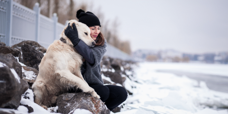 Aprenda a proteger os animais de estimação do frio