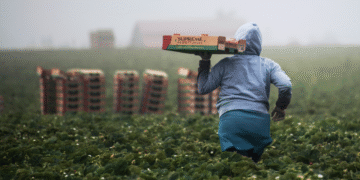 Transformar a forma de produzir alimentos pode salvar o planeta