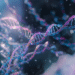 Restos mortais de seis mil anos com DNA único são encontrados - Imagem: Pixabay