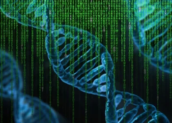 Esqueletos com DNA inédito são descobertos por cientistas - Imagem: Pixabay