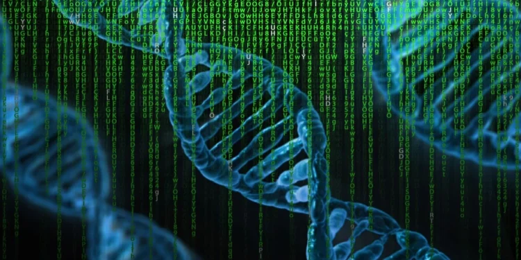 Esqueletos com DNA inédito são descobertos por cientistas - Imagem: Pixabay