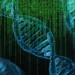 Esqueletos com DNA inédito são descobertos por cientistas - Imagem: Pixabay