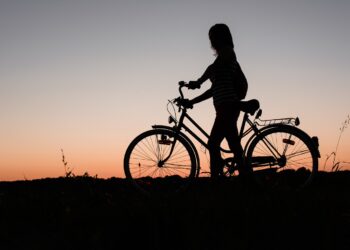 IPVA para bicicletas é real? Polêmica deixa milhares preocupados - Imagem: Pixabay