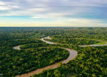 Amazônia - Reprodução/iStock
