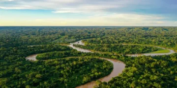 Amazônia - Reprodução/iStock