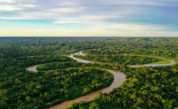 Amazônia - Reprodução/iStock