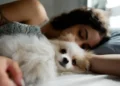 Dormindo com o cachorro - Reprodução/iStock