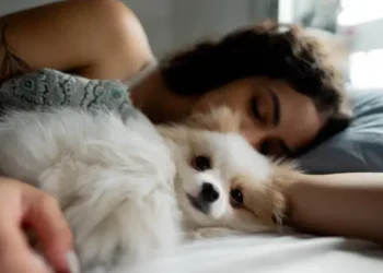 Dormindo com o cachorro - Reprodução/iStock