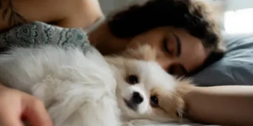 Dormindo com o cachorro - Reprodução/iStock