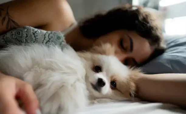 Dormindo com o cachorro - Reprodução/iStock